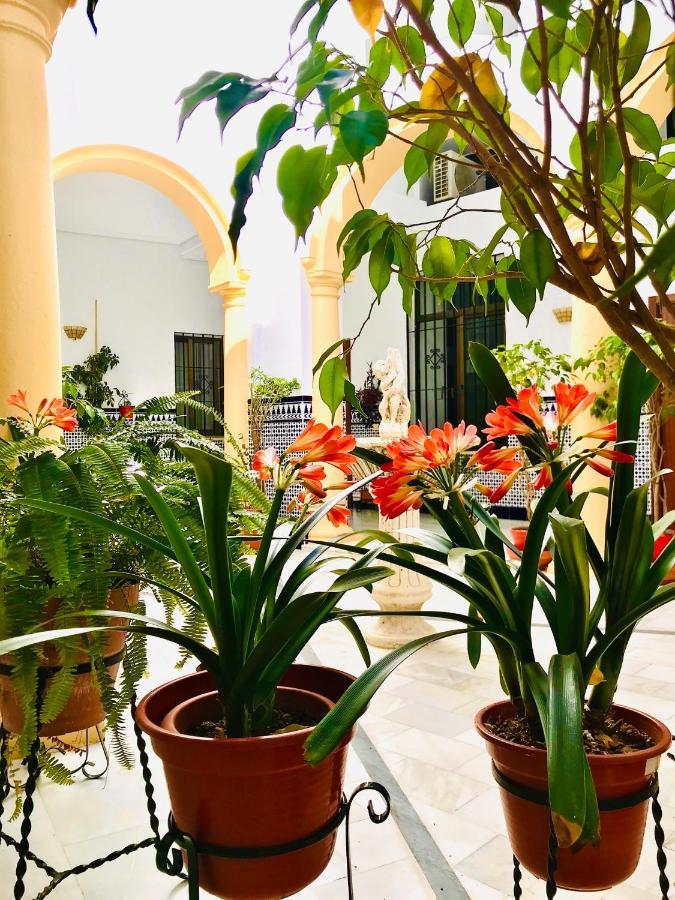 Fabuloso Loft En Centro Historico De Cordoba Con Parking Bajo Reserva Tendillas Mezquita-Catedral Zewnętrze zdjęcie